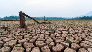 Musimy walczyć ze zmianami klimatu jak z pandemią COVID-19