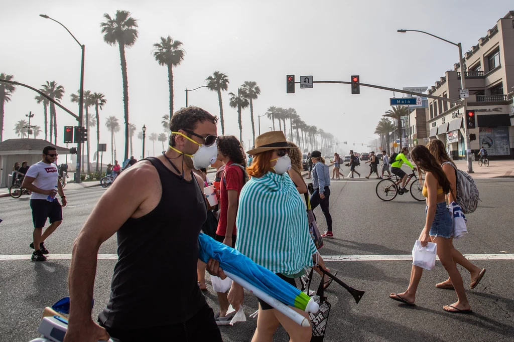 Kalifornia w czasie epidemii Kalifornia w czasie epidemii
