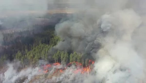 Pożar w strefie czarnobylskiej. Zdjęcie z 12 kwietnia 2020 r.