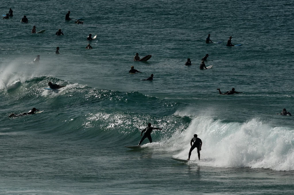 Surferzy powrócili na plaże Surferzy powrócili na plaże