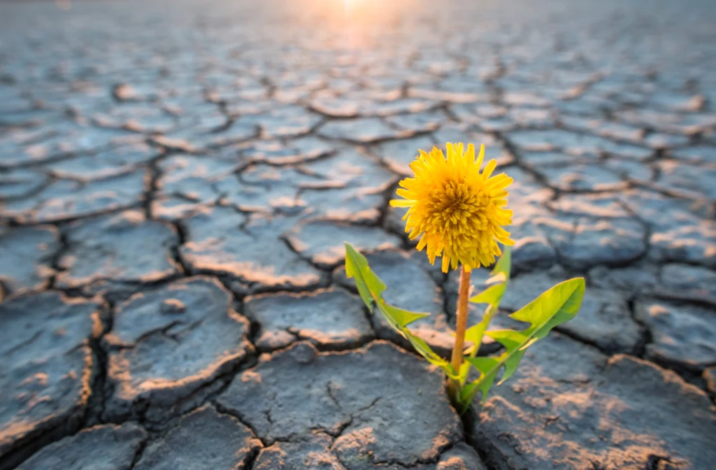 Jak Polska przygotowuje się na zmiany klimatu? Jak Polska przygotowuje się na zmiany klimatu?
