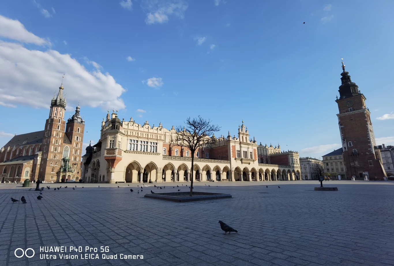 Zdjęcie wykonane obiektywem ultraszerokokątnym