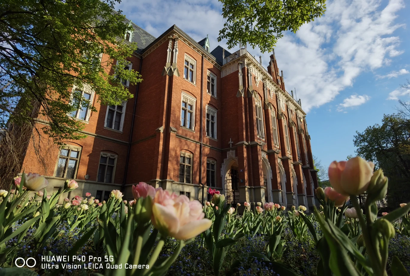 Zdjęcie wykonane obiektywem głównym, szerokokątnym