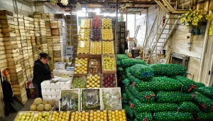 Będzie nowy fundusz ochronny dla rolników. Kto się na niego zrzuci?