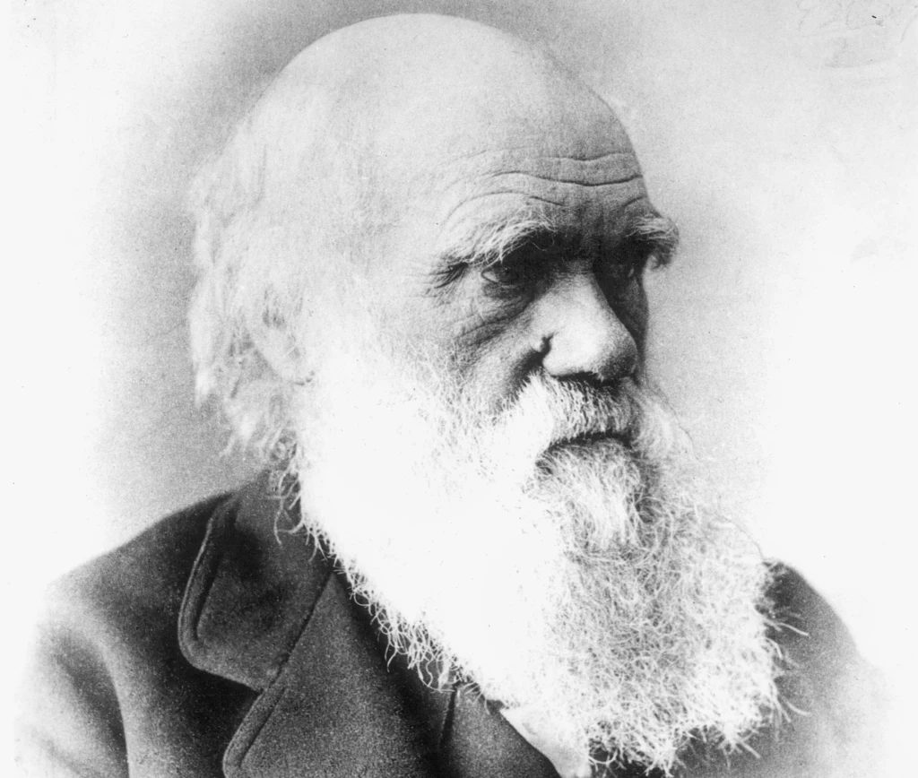 Wbrew logice Darwina organizmy wielokomórkowe powstały przez przypadek