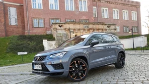 Cupra Ateca Limited Editon - zaskakująco uniwersalna