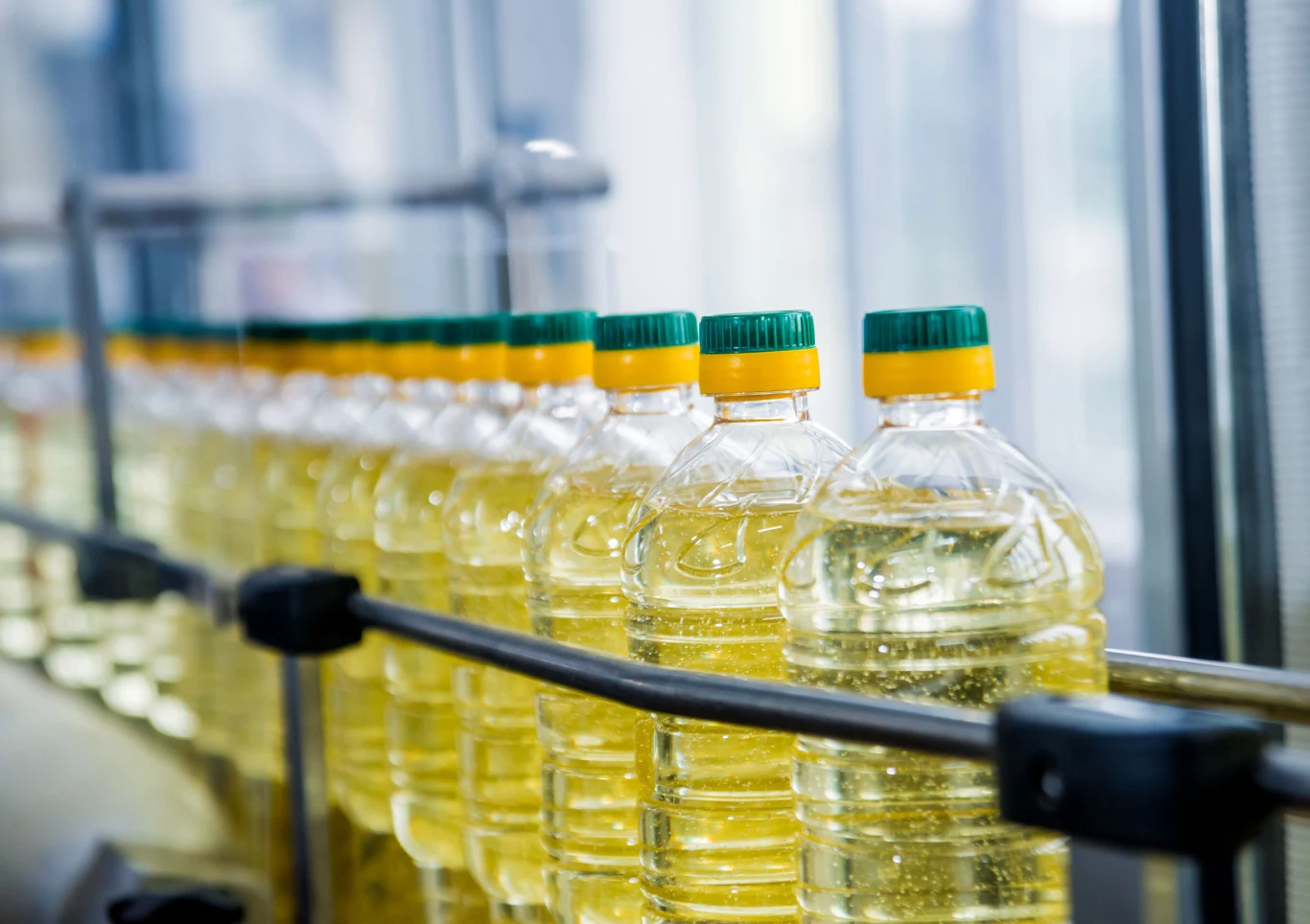 Olej rzepakowy w przepisie na domowy majonez możesz zastąpić słonecznikowym