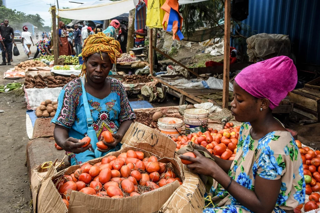Targ w Tanzanii, zdjęcie zrobione w połowie kwietnia Targ w Tanzanii, zdjęcie zrobione w połowie kwietnia