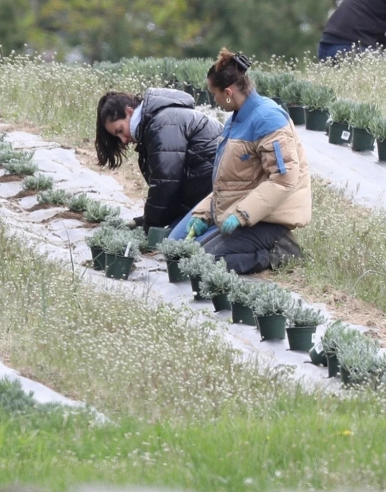 Bella Hadid z mamą sadzą zioła Bella Hadid z mamą sadzą zioła