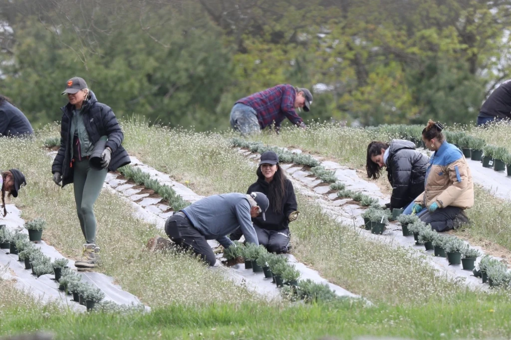Bella Hadid z mamą sadzą zioła Bella Hadid z mamą sadzą zioła