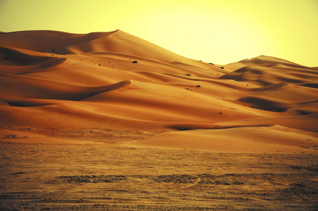 Na świecie może być więcej takich miejsc jak Sahara