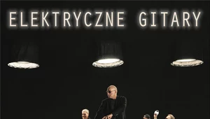 Elektryczne Gitary "2020": Przekonywanie przekonanych [RECENZJA]