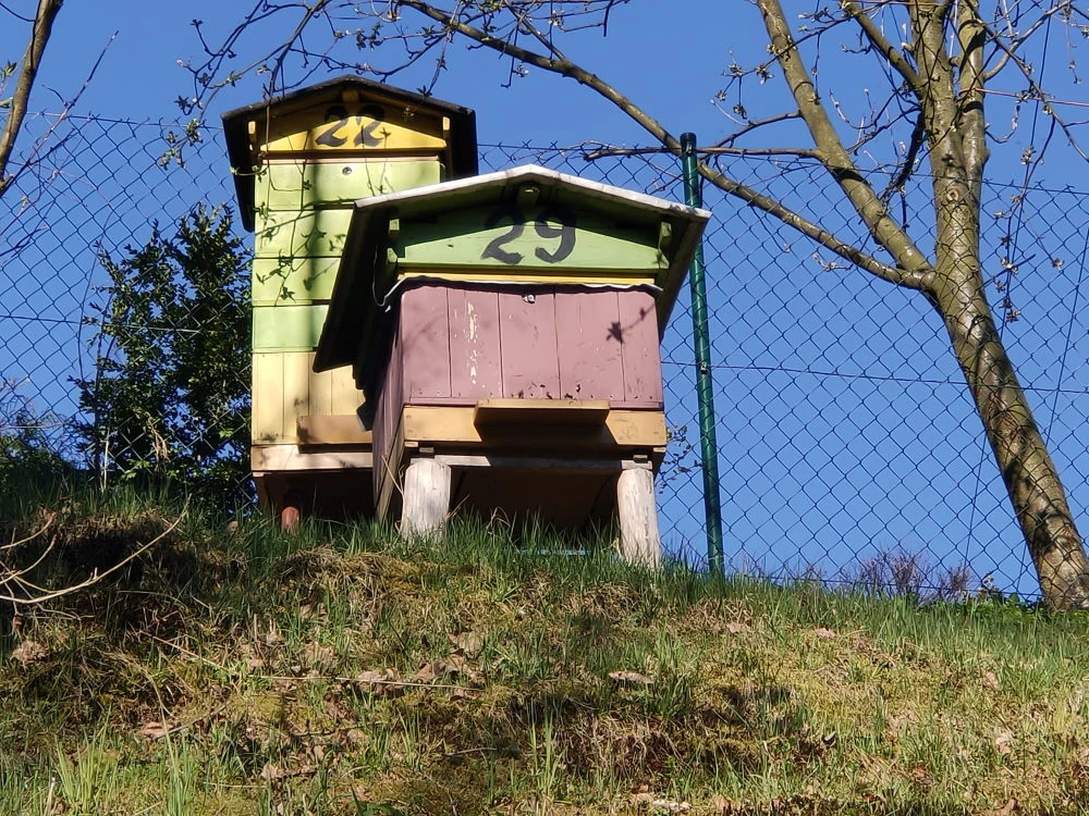 Zdjęcie wykonane Realme X50 Pro - zoom x5