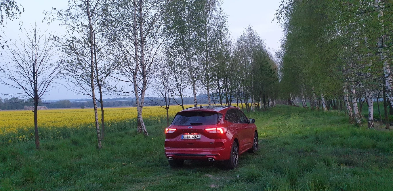 Ford Kuga 2020. Zdjęcia 