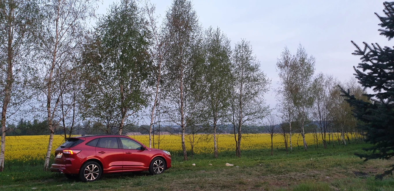 Ford Kuga 2020. Zdjęcia 