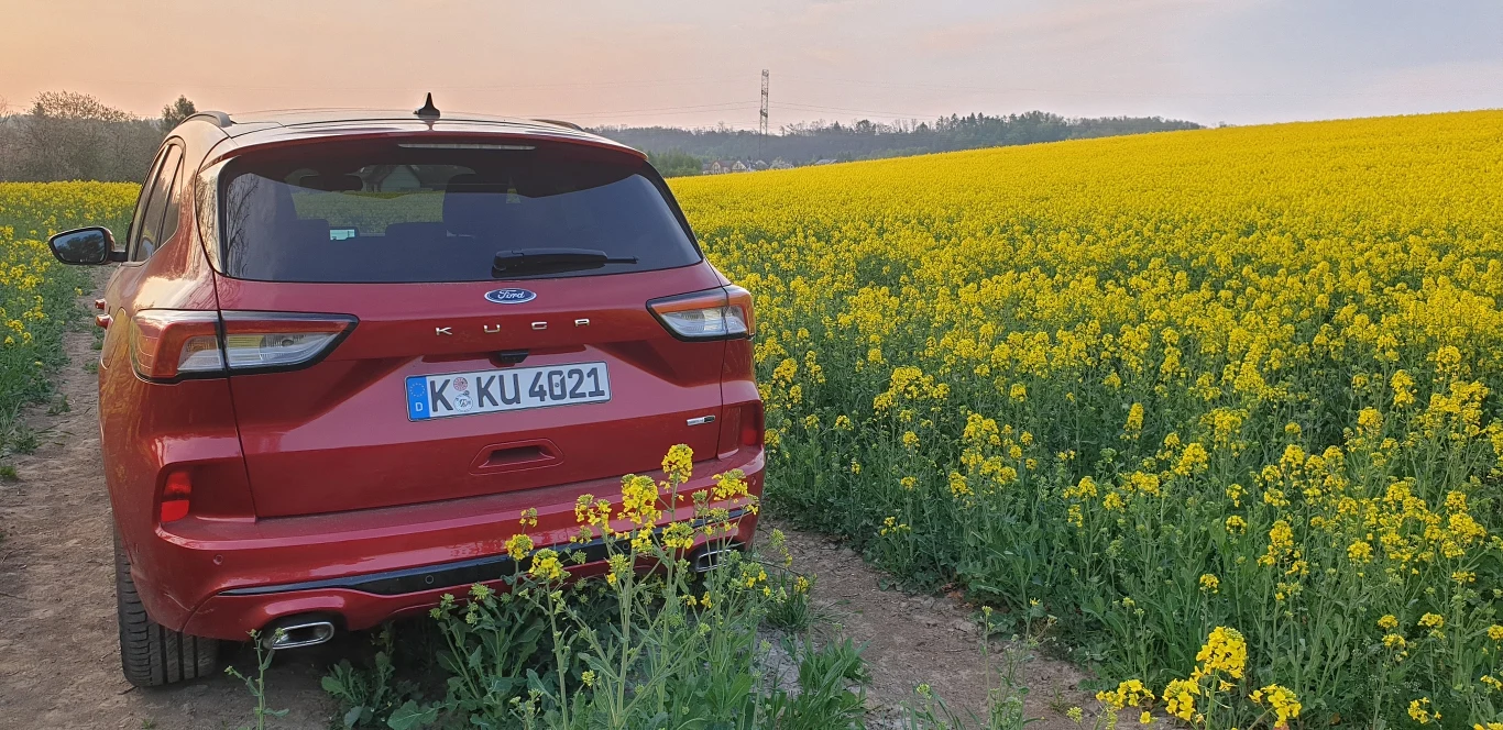 Ford Kuga 2020. Zdjęcia 