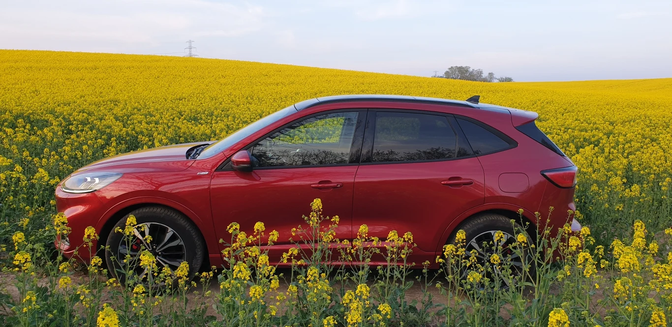 Ford Kuga 2020. Zdjęcia 