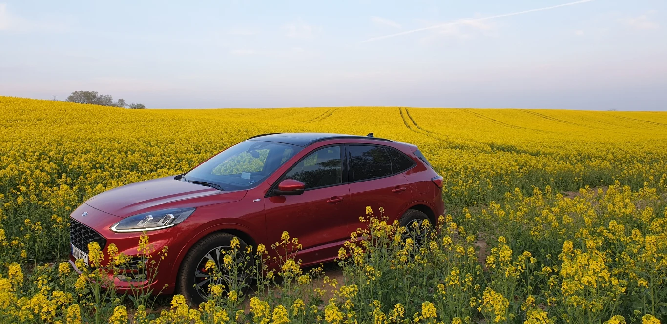 Ford Kuga 2020. Zdjęcia 