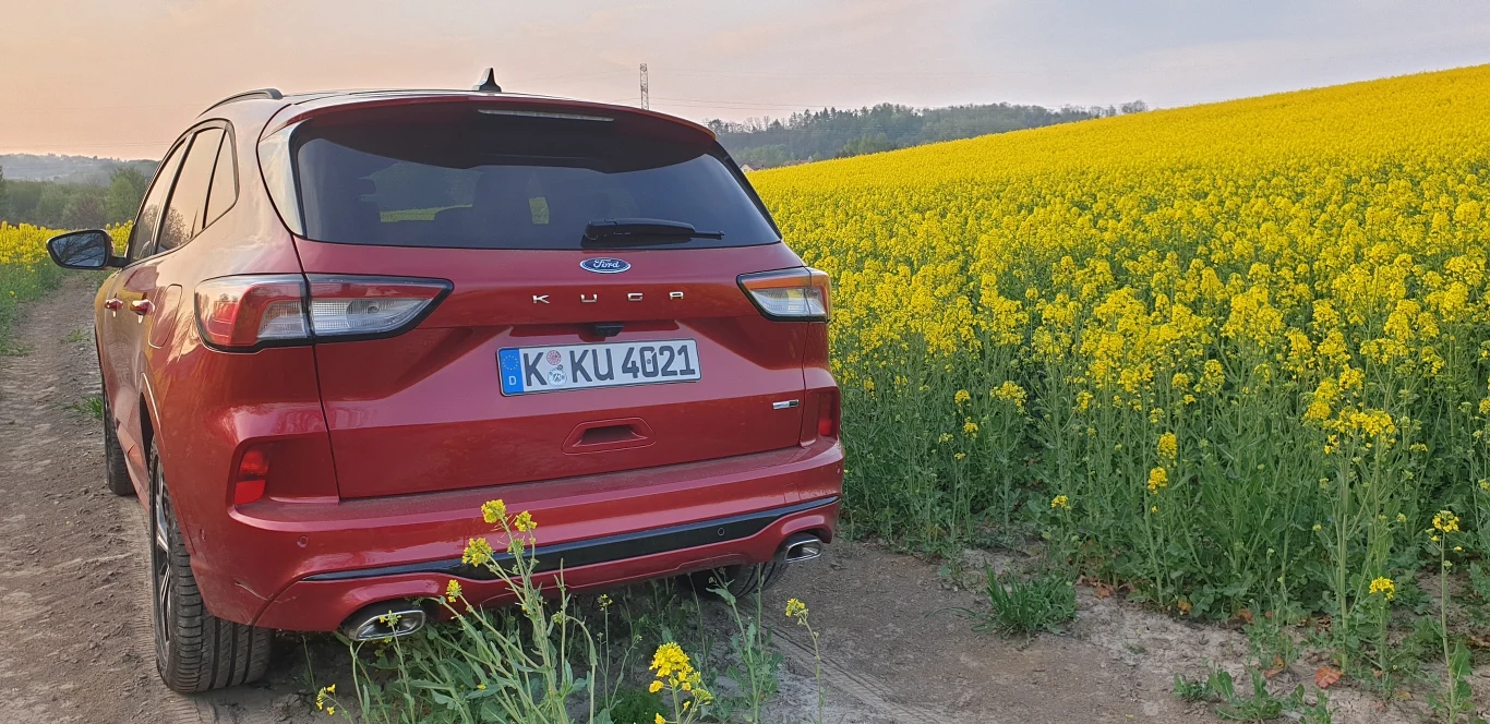 Ford Kuga 2020. Zdjęcia 