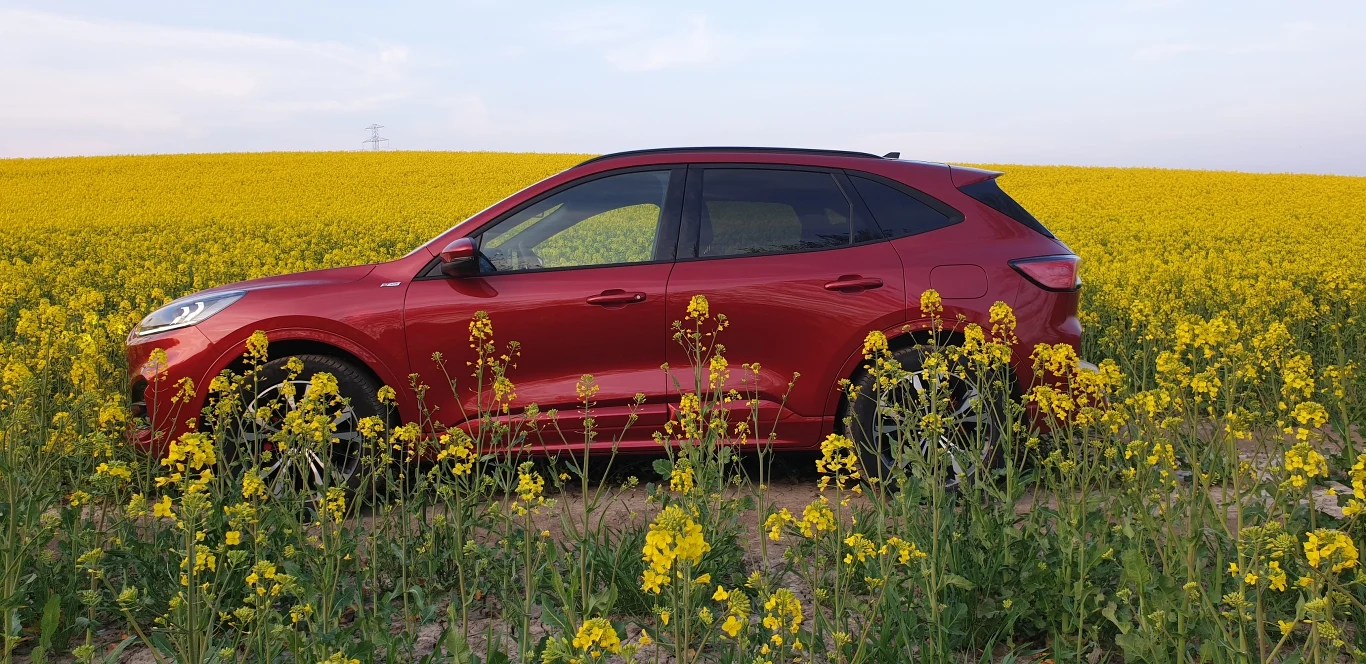 Ford Kuga 2020. Zdjęcia 