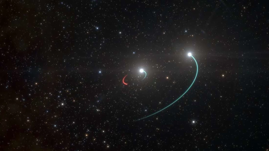 Wizja artystyczna orbit obiektów w układzie HR6819