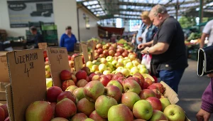 Pandemia mocno zachwiała cenami owoców