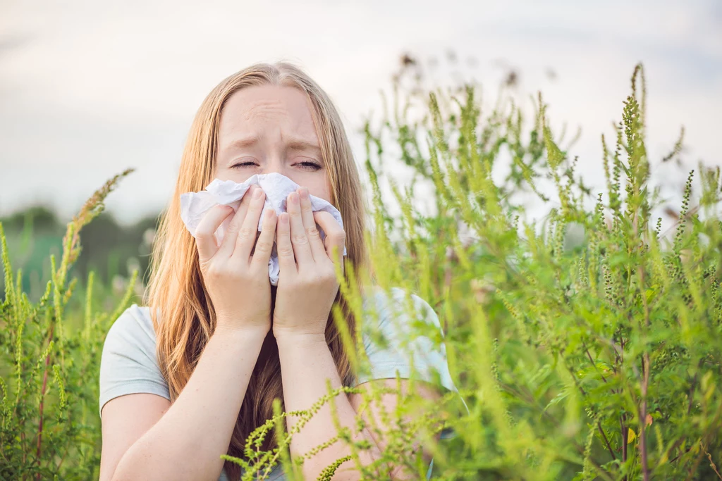 Alergia powstaje na skutek nadwrażliwości układu odpornościowego