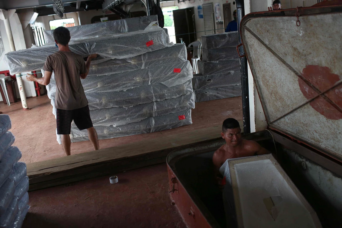 Po Amazonce poruszają się tankowce i kontenerowce. Z tego powodu Brazylijczycy utrzymują dość silną i nowoczesną flotyllę rzeczną osłaniającą ruch na rzece. 