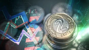 Złoty wciąż mocny w stosunku do dolara. Zdj. ilustracyjne