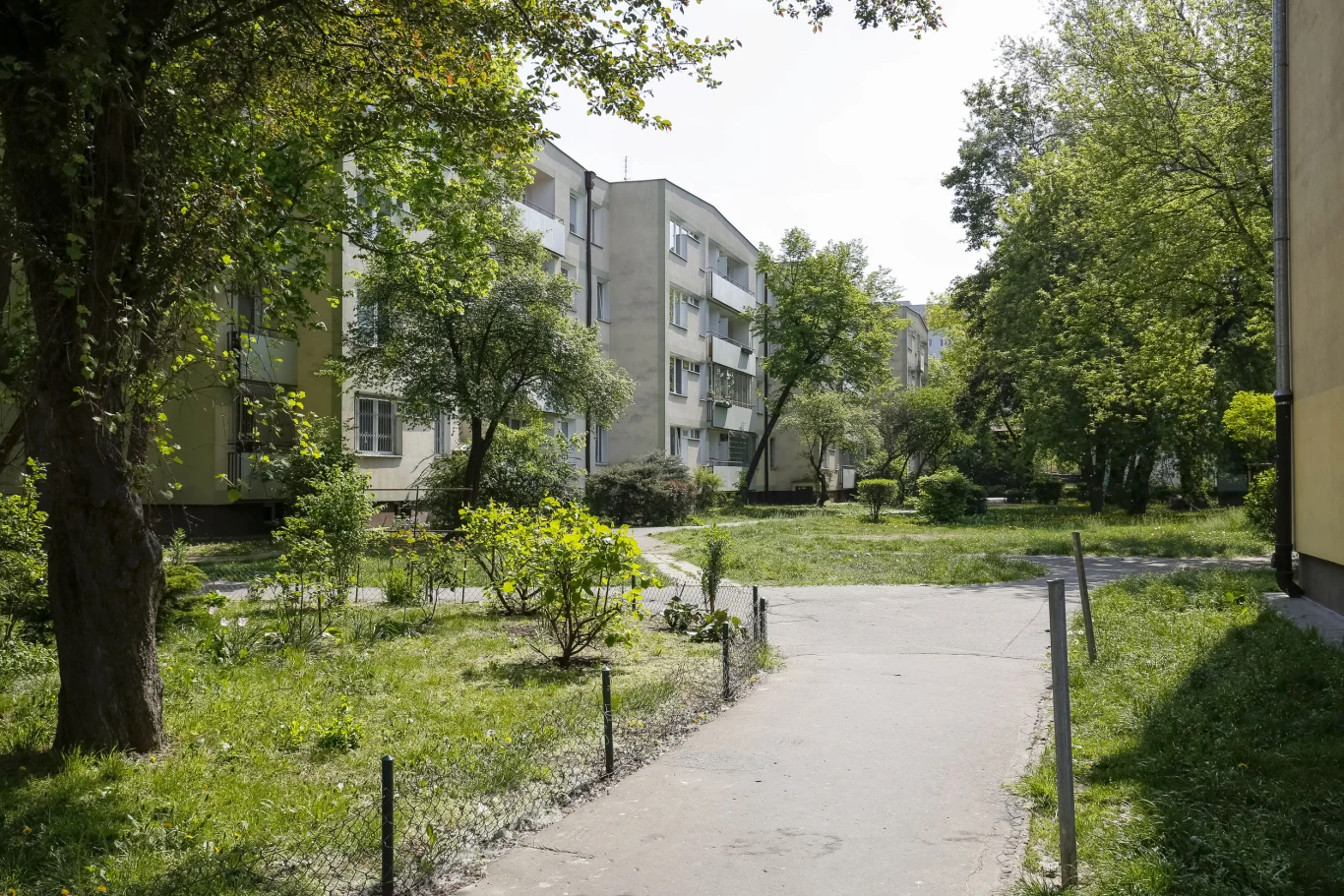 Mieszkańcom Parczewa "objawiła się" Matka Boska. Teraz modlą się do drzewa (zdjęcie symboliczne) Mieszkańcom Parczewa "objawiła się" Matka Boska. Teraz modlą się do drzewa (zdjęcie symboliczne)