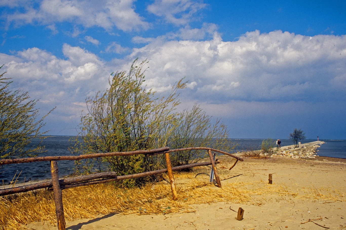 Plaża w Mikoszewie jest położona bardzo blisko ujścia Wisły do morza. To idealne miejsce dla szukających spokoju, leży bowiem na terenie rezerwatu przyrody. Nie znajdziemy tu restauracji czy barów, za to cieszyć możemy się przestrzenią (plaża ma 50 m szerokości), bardzo łagodnym zejściem do wody (nawet kilkanaście metrów płycizny) oraz terenami leśnymi w bliskiej okolicy. Naszym zdaniem to najpiękniejszy i wciąż nieodkryty zakątek nad Bałtykiem. 