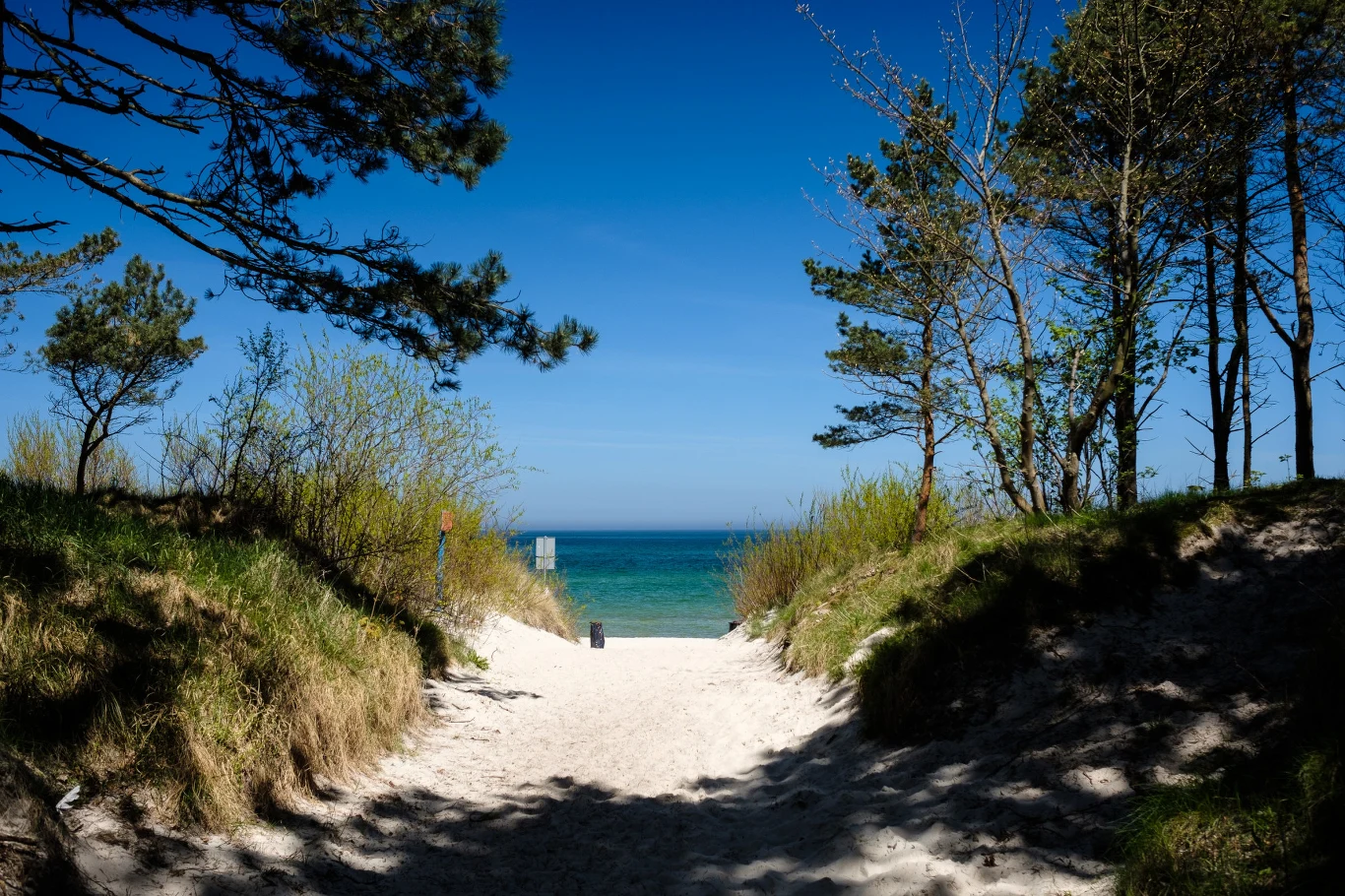 Chociaż plażę w Chałupach rozsławił na całą Polskę Zbigniew Wodecki, nie powinniśmy spodziewać się tutaj tłumów. Mowa oczywiście o strzeżonej plaży, oddalonej od centrum miasta o ok. 200 m. Ta dla nudystów znajduje się bowiem od strony morza, ok. 1 km w stronę Kuźnicy. Bliskość drzew gwarantuje cień, a dodatkową atrakcją jest urokliwy pomost.