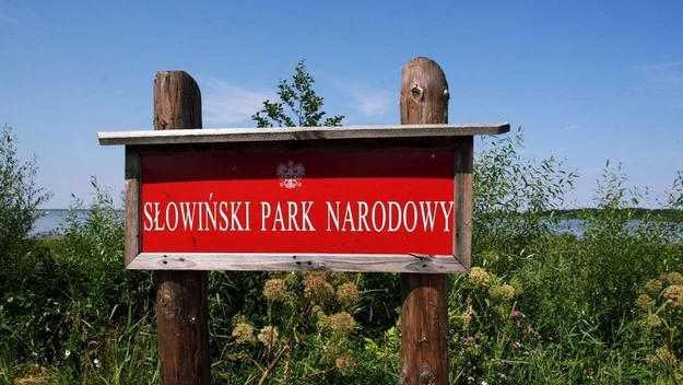 Słowiński Park Narodowy to wyjątkowe miejsce na mapie Polski. W naszym kraju istnieją 23 parki narodowe i tylko dwa spośród nich są położone nad morzem.

Jest to właśnie Słowiński Park Narodowy oraz Woliński Park Narodowy. Oba mają wiele do zaoferowania. Dziś jednak chcielibyśmy się skupić na zaletach tego pierwszego. 

Na zdjęciu: Słowiński Park Narodowy