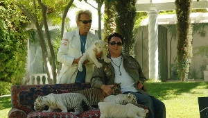 Siegfried Fischbacher i Roy Horn będą bohaterami specjalnego odcinka "Króla tygrysów"?