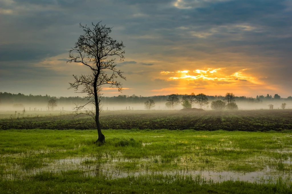 Podlasie to jeden z najpiękniejszych regionów Polski