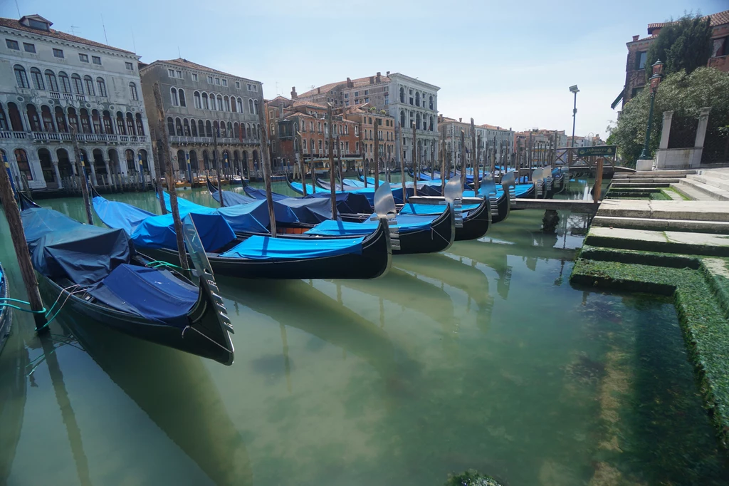Zdjęcia pochodzą z Wielkiego Kanału w rejonie Rialto; wykonano je 13 maja br. Zdjęcia pochodzą z Wielkiego Kanału w rejonie Rialto; wykonano je 13 maja br.