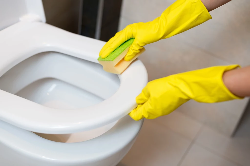 Wirusy, bakterie, pleśń i grzyby - to wszystko może znajdować się w naszej toalecie