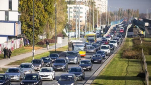 Po zakończeniu epidemii korki powrócą do miast i będą jeszcze większe