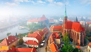 Wrocław: Rusza program Zielona Kultura 