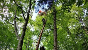 Cztery akcje GOPR; paralotniarz zawisł na drzewie