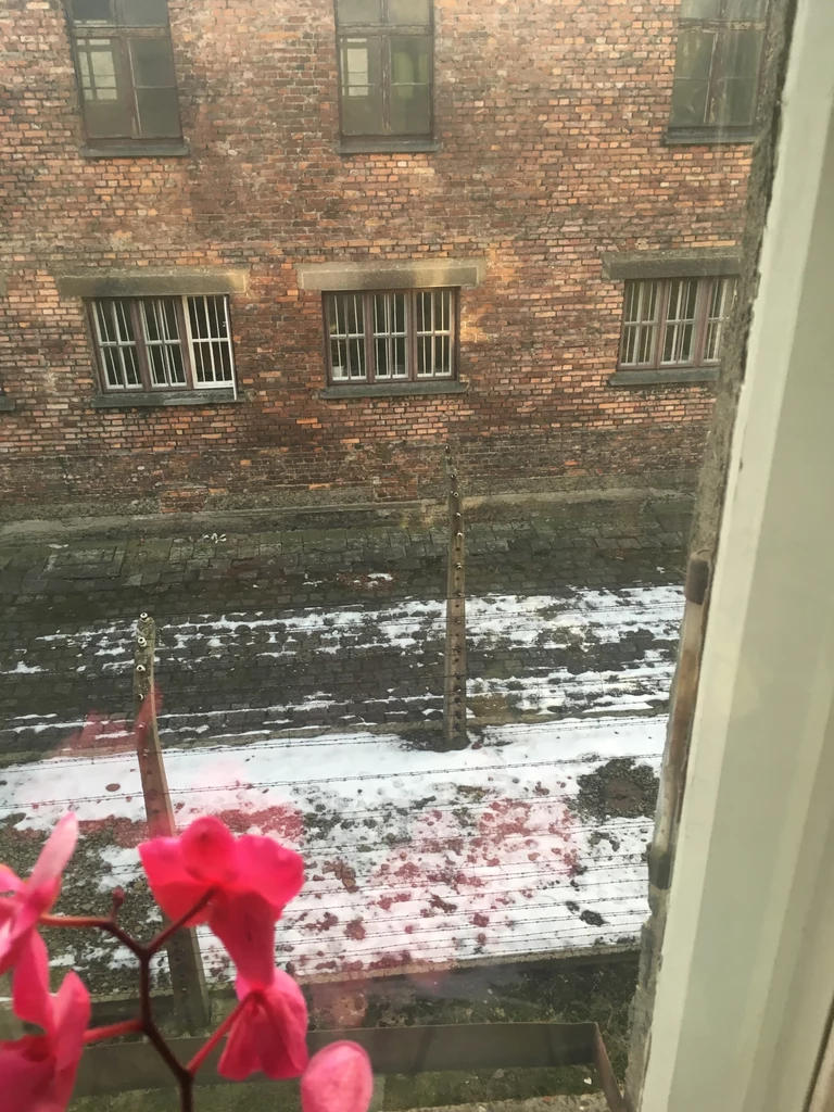 Widok z okna jednej z mieszkanek Muzeum Auschwitz-Birkenau