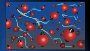 Rekordowe kwantowe splątanie atomów