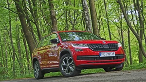 Skoda Kodiaq 2.0 TDI Sportline