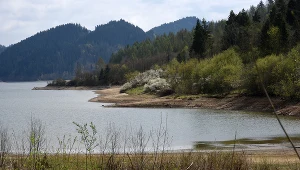 Na zdjęciu: Dunajec i Pieniny