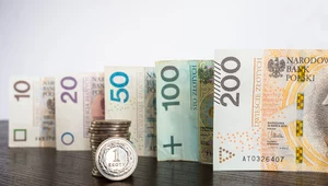 Nie mamy realnego planu finansów państw