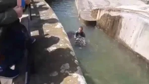 Mężczyzna mocował się niedźwiedziem w warszawskim zoo 