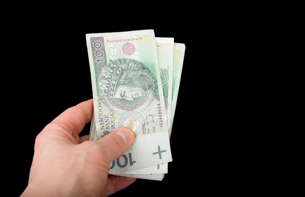 100 złotych dodatku do energii elektrycznej. Termin mija 30 listopada.