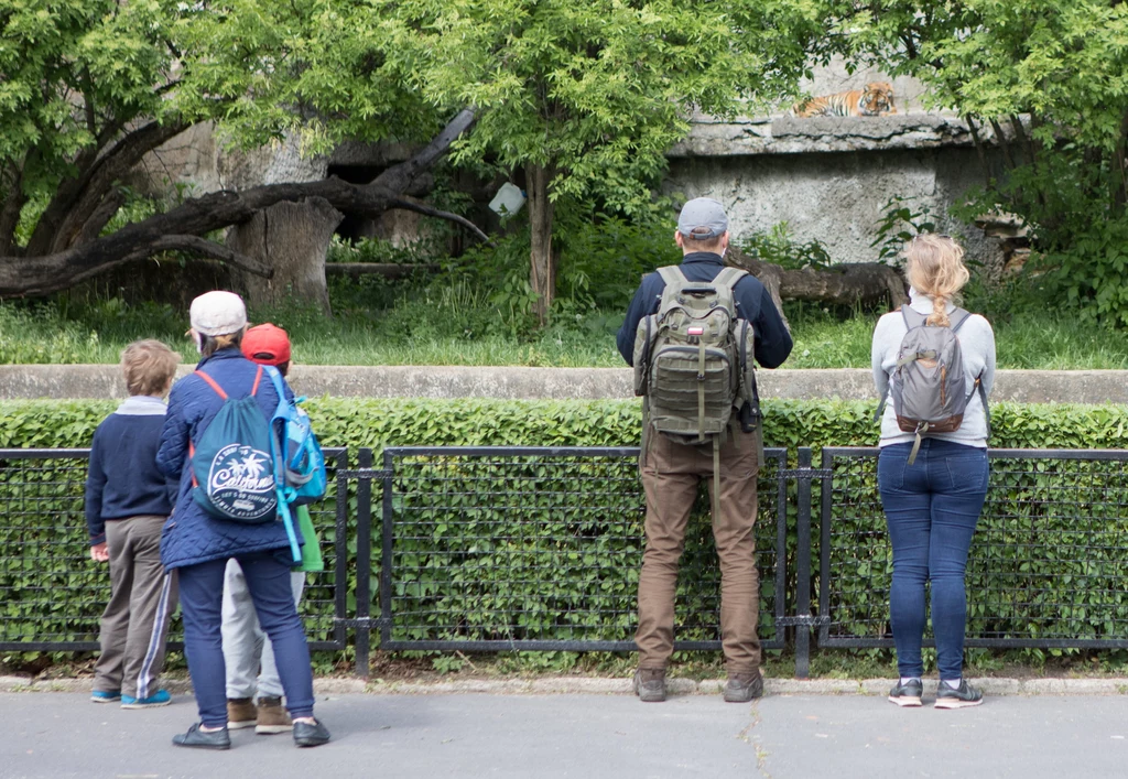 Na zdj. ogród zoologiczny w Warszawie