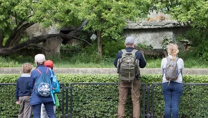 Na zdj. ogród zoologiczny w Warszawie