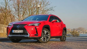 Lexus UX 250h